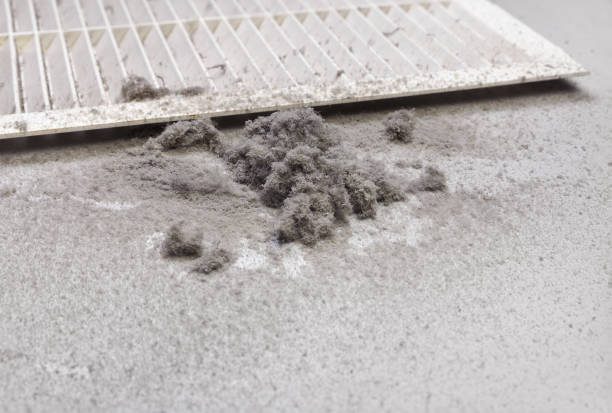 Best Dryer Vent Cleaning Services  in Gberts, IL