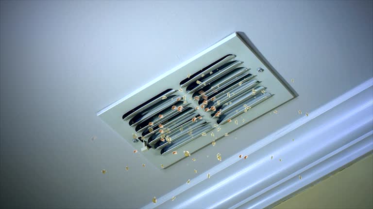 Best Duct Cleaning Specialists  in Gberts, IL