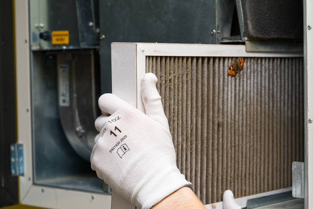 Best Local Air Duct Cleaning Services  in Gberts, IL