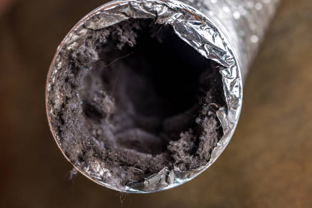 Best Affordable Air Duct Cleaning  in Gberts, IL